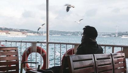 当年某某药酒真的抓了谭秦东，但这次西贝不可能抓罗永浩