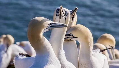 b体育入口-清晨得知U23国足亚洲杯半决赛比分之后，小球迷瞬间喜极而泣